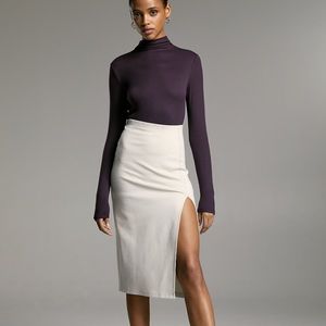 Aritzia Babaton Pencil Slit Skirt